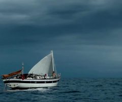 Shailene Woodley – Adrift