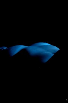 Nude-muse La Luna – Looking Blue